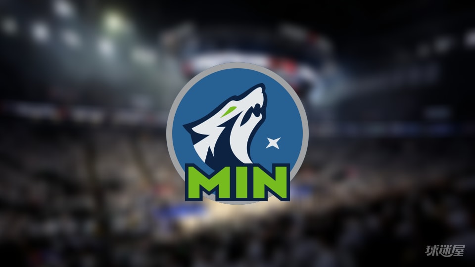 森林狼伤病报告：多苏穆因足跟受伤出战成疑(2026年05月09日)